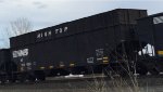 NS 802868